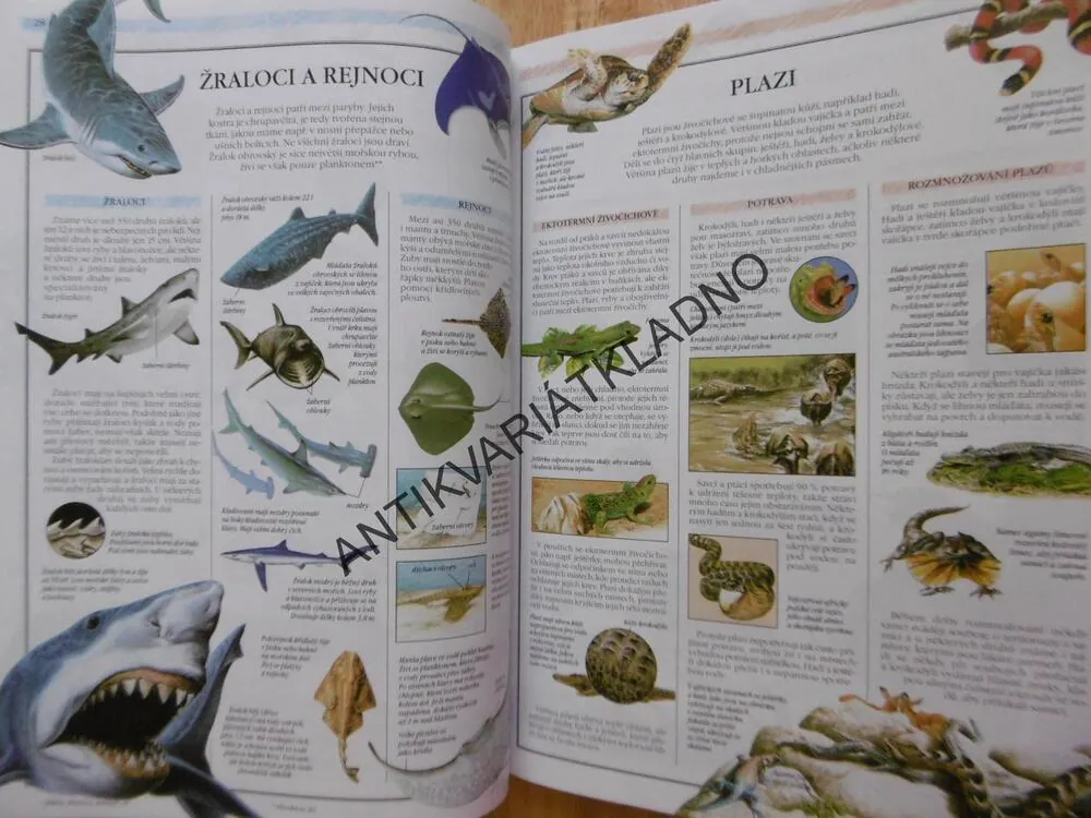 SVĚT PŘÍRODY, OTTOVA ILUSTROVANÁ ENCYKLOPEDIE, **an