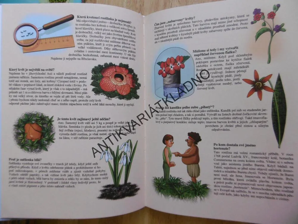 VÍŠ JAK A PROČ? OTÁZKY A ODPOVĚDI PRO ZVÍDAVÉ DĚTI, **an