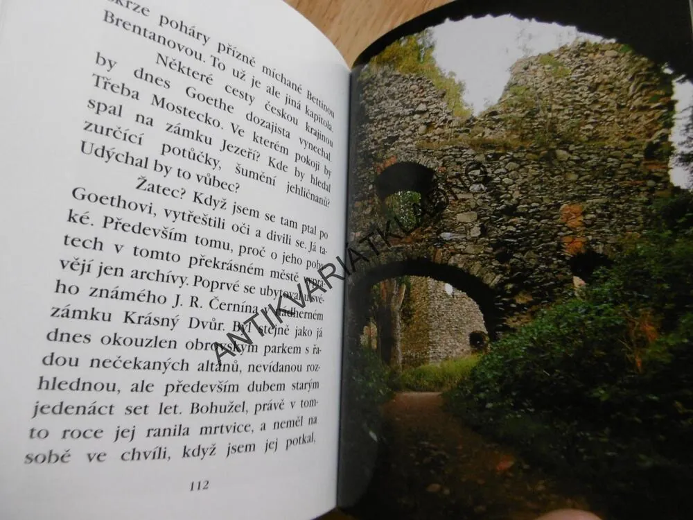KNÍŽE BÁSNÍKŮ J.W. GOETHE V ČECHÁCH, JAN ŠIMON FIALA,