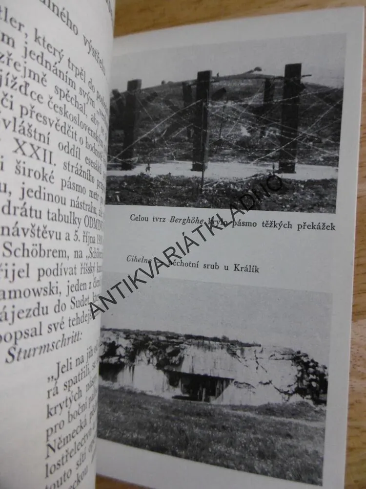 A VĚŽE MLČÍ.... OTA HOLUB, **an