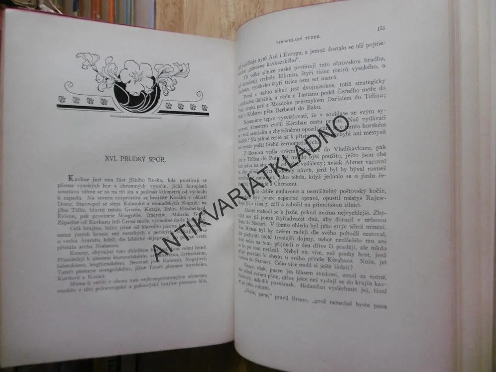 TVRDOHLAVÝ TUREK, JULES VERNE,1925
