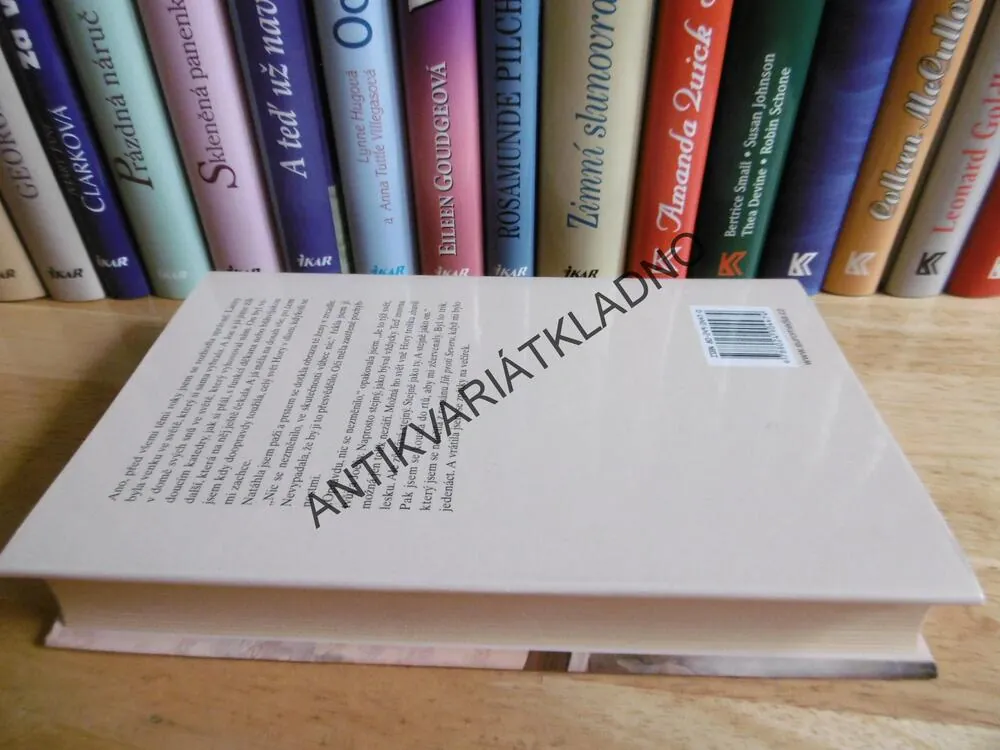 BEZPEČNÉ VÝŠINY, ANNE RIVERS SIDDONSOVÁ, **an