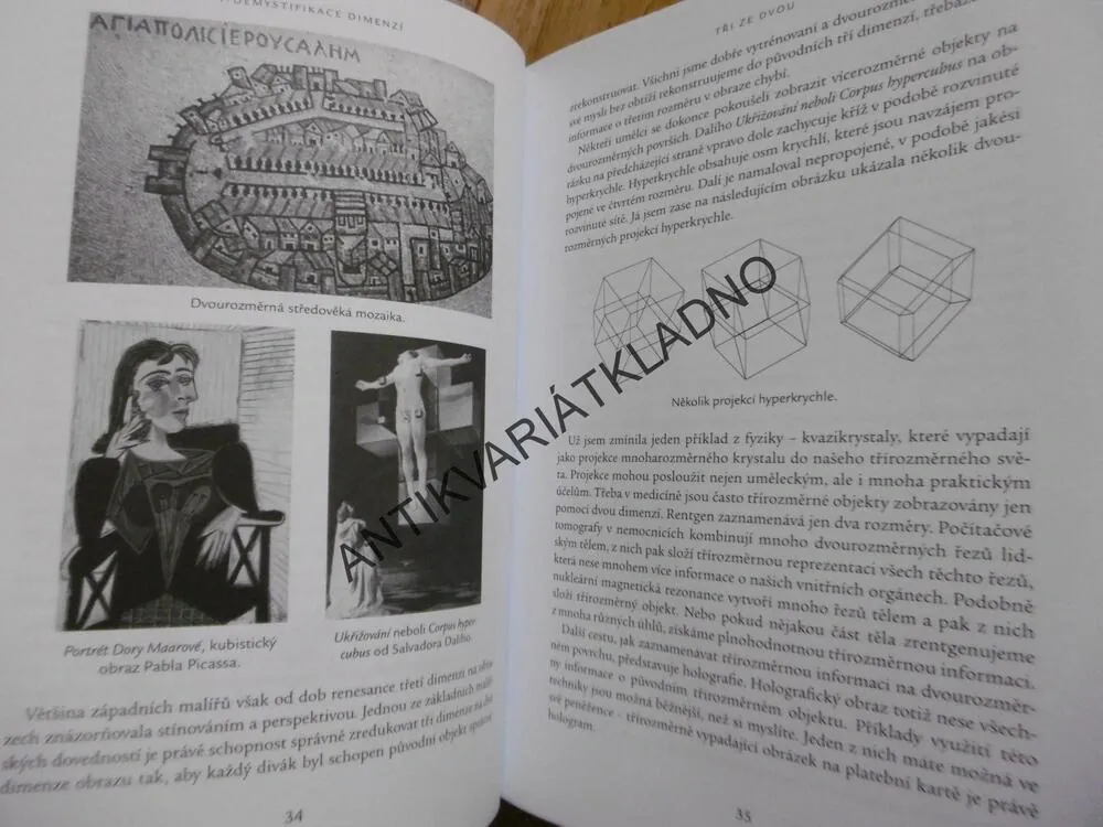 TAJEMSTVÍ SKRYTÝCH DIMENZÍ VESMÍRU, LISA RANDALLOVÁ, **an
