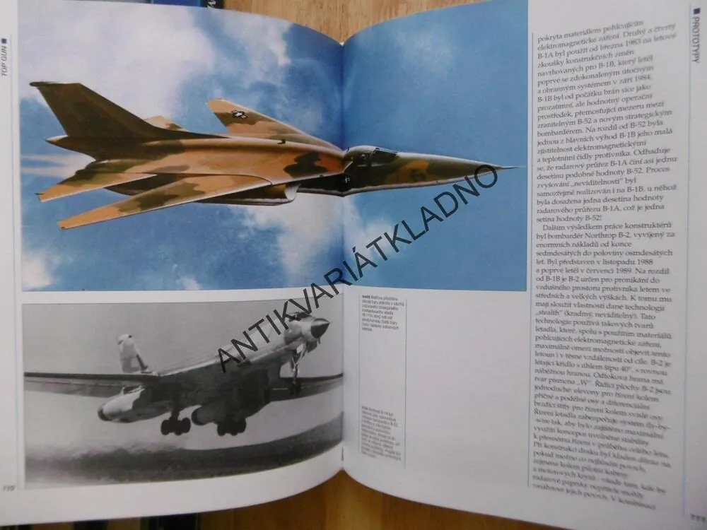 TOP GUN, NEPŘEMOŽITELNÁ LETADLA, CHRISTOPHER CHANT, **an