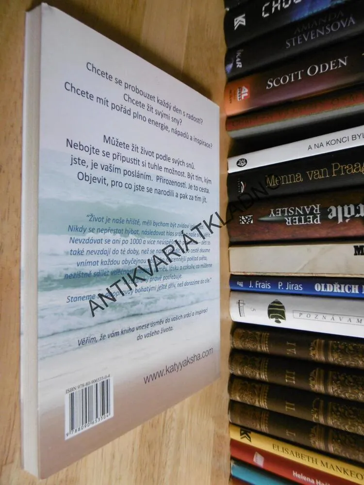 MŮŽEŠ VŠE, CO CHCEŠ, KATY YAKSHA, **an