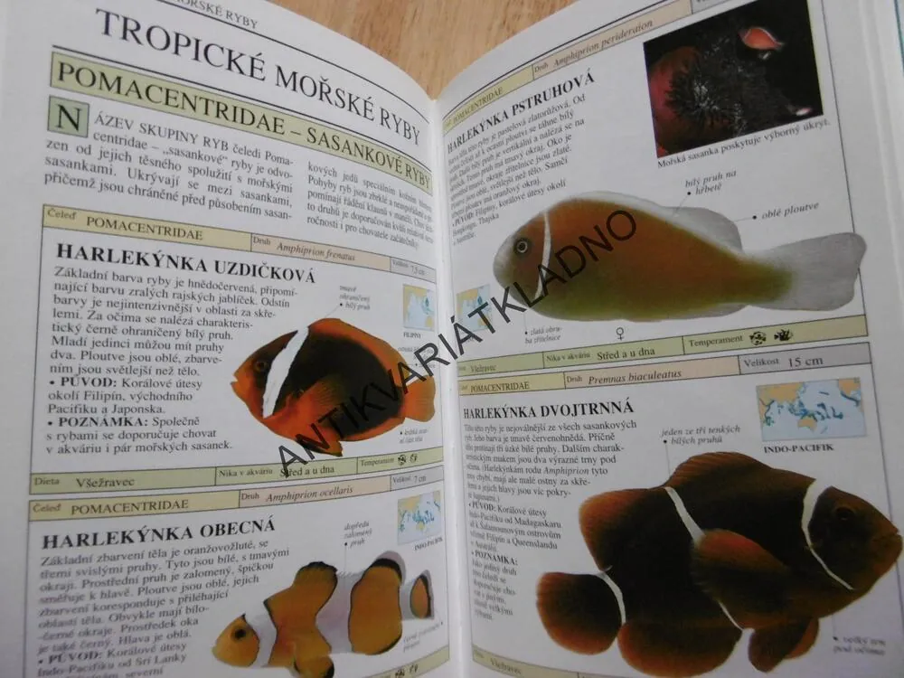 AKVARIJNÍ RYBY, EDICE POUHÝM OKEM, DICK MILLS, **an