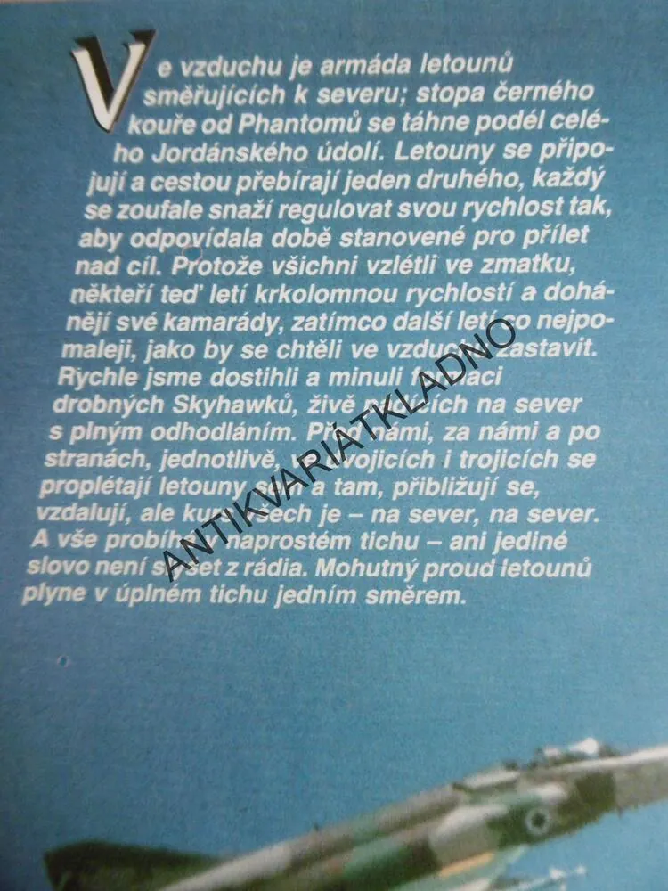 LETCI S DAVIDOVOU HVĚZDOU, MERAV HALPERIN, AHARON LAPIDOT, **an