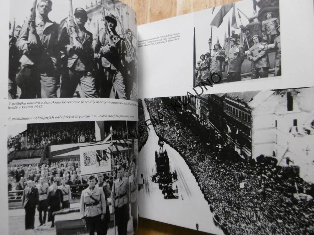 PEVNÁ OPORA STRANY, KSČ, SOCIALISMUS, 1982
