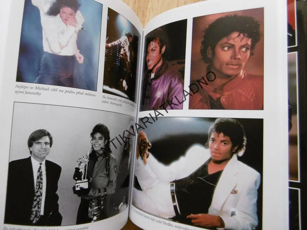 MICHAEL JACKSON, DAVID L´HERMITTE, KRÁL POPU 1958-2009, ZPĚVÁK, **an