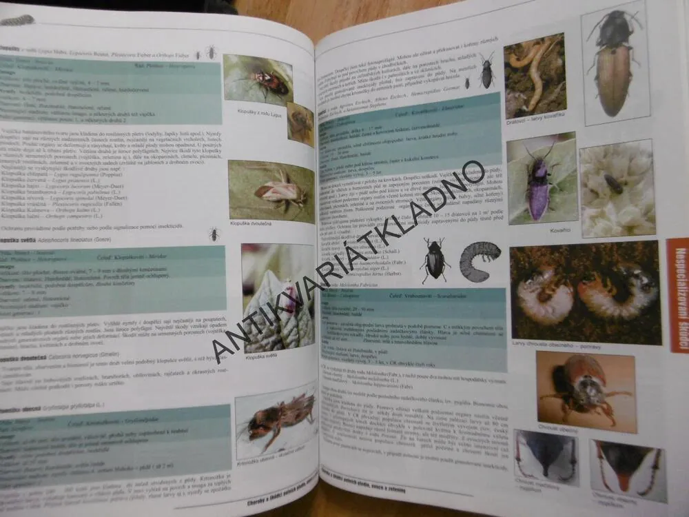 CHOROBY A ŠKŮDCI POLNÍCH PLODIN, OVOCE A ZELENINY, KVĚTINY,