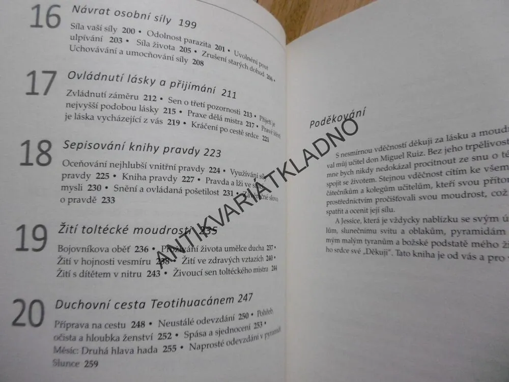 KNIHA TOLTÉCKÉ MOUDROSTI, ALLAN HARMAN, TOLTÉCKÝ MISTR