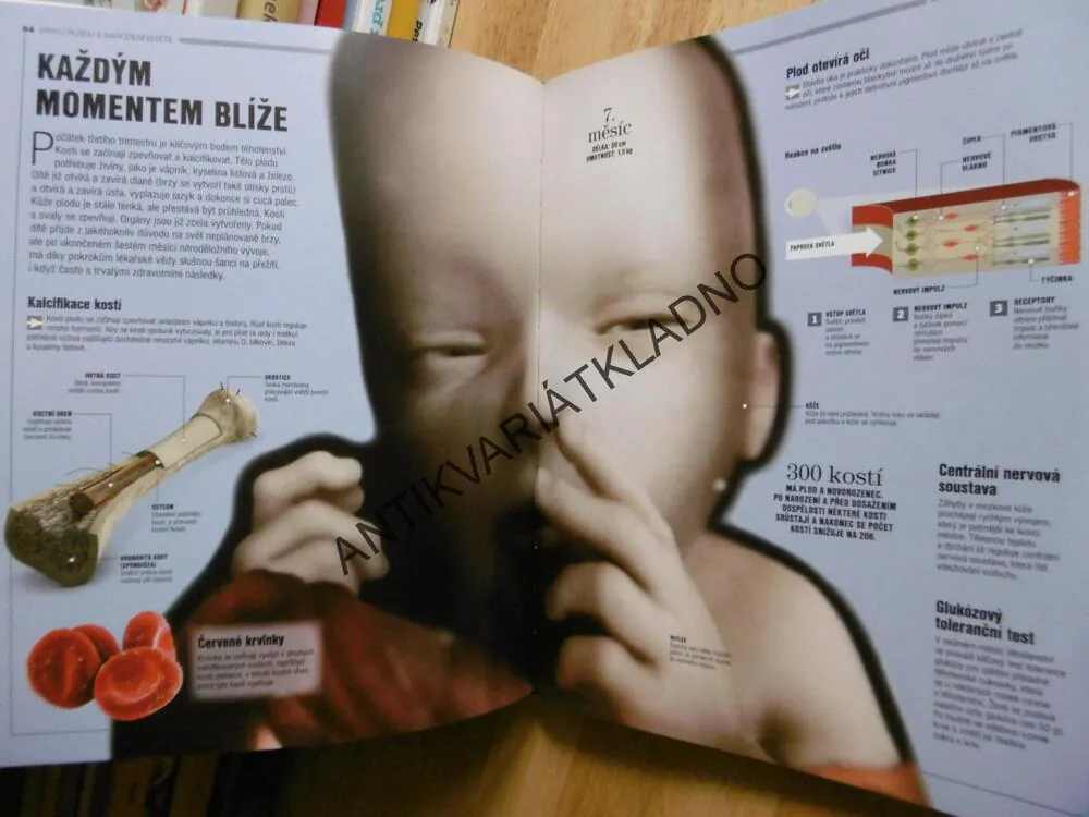 LIDSKÉ TĚLO, PRŮVODCE PRO CELOU RODINU, ANATOMIE, ILUSTROVANÝ ATLAS, **an