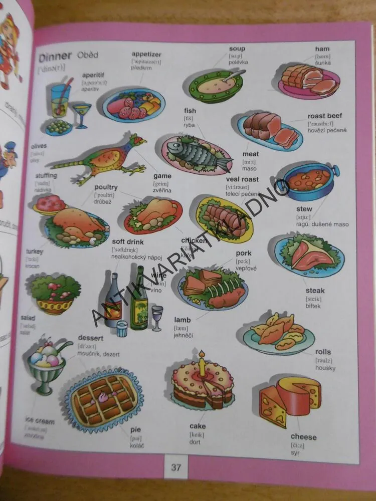 OBRÁZKOVÁ ANGLIČTINA, SLOVNÍČEK PRO DĚTI, **an
