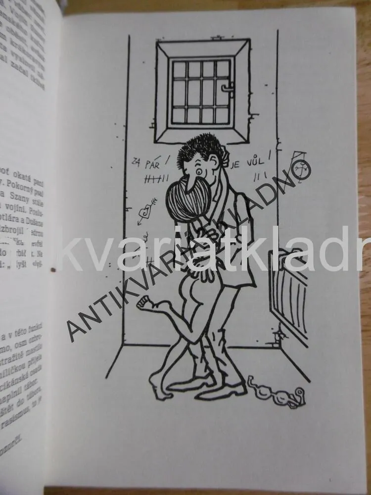 ČERNÍ BARONI ANEB VÁLČILI JSME ZA,ŠVANDRLÍK, 1969, 1. VYDÁNÍ, NEPRAKTA