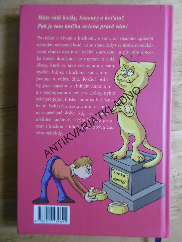 KOČIČÍ POVÍDÁNÍ ANEB JAK NÁM KOČKY DOVOLILY S NIMI BYDLET, ROMANA JUNKOVÁ, **an