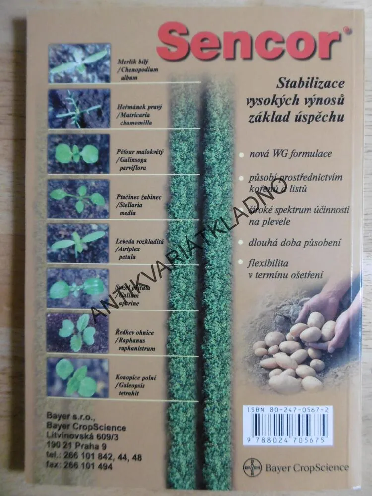 PĚSTUJEME BRAMBORY, ČESKÁ ZAHRADA, HNOJENÍ, CHOROBY, ŠKŮDCI, ODRŮDY, **an