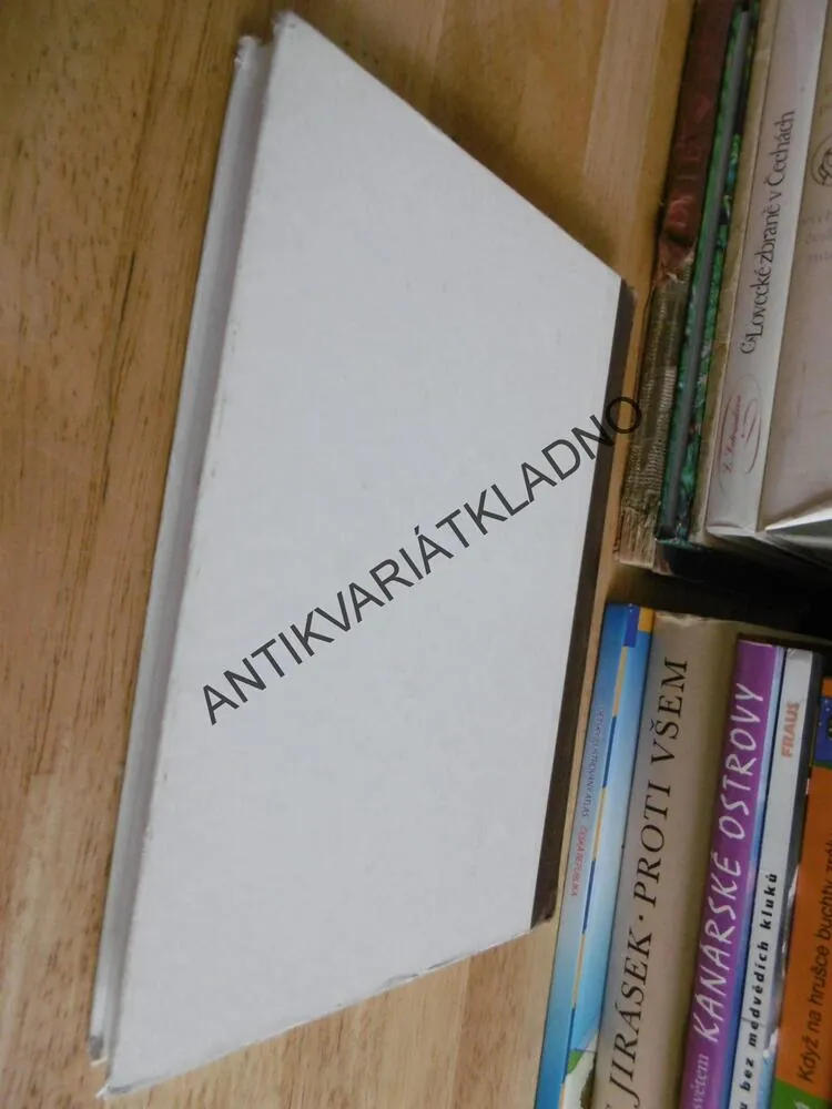 NA PASECE, JOS. HAIS TÝNECKÝ, O. ŠTÁFL, 1992, **an