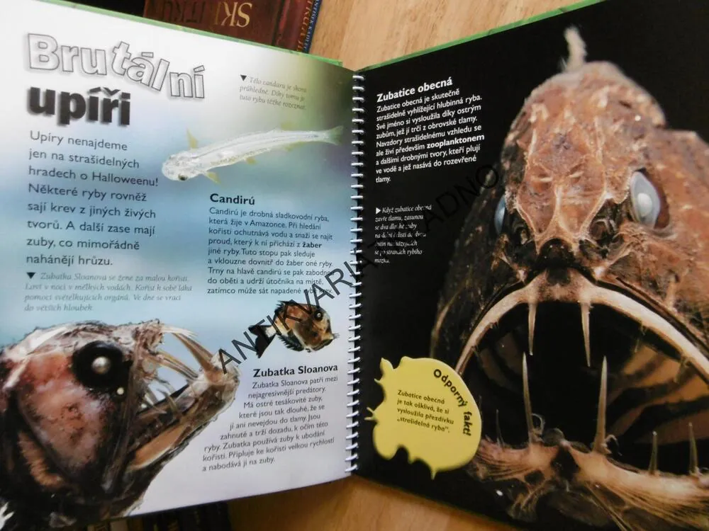 STRAŠIDELNÁ ZVÍŘATA, **an