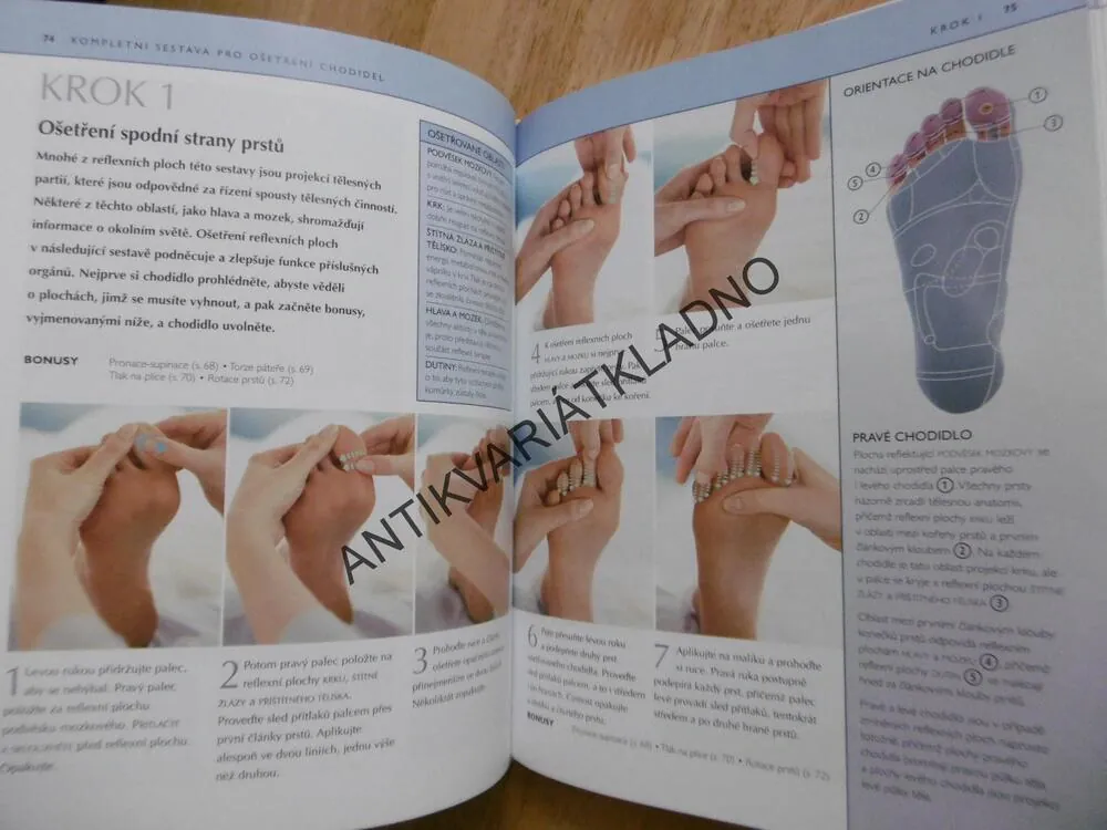 REFLEXOLOGIE, LÉČEBNÁ TERAPIE PRO DOBROU KONDICI, BARBARA A KEVIN KUNZA