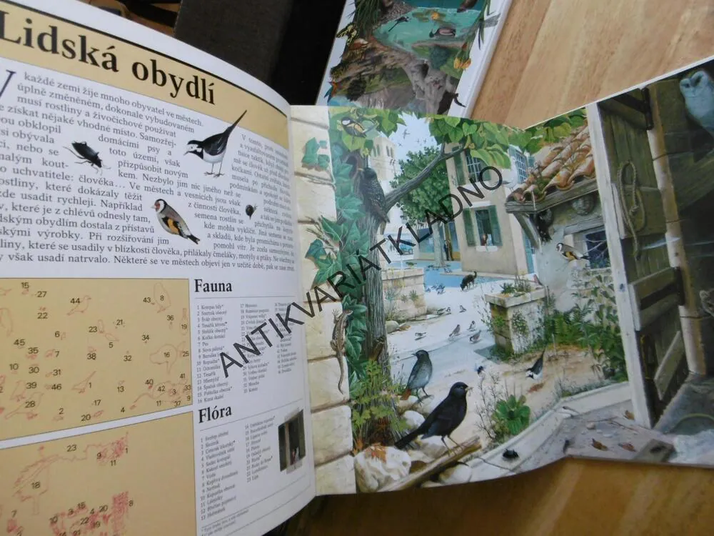 ZÁZRAČNÝ SVĚT PŘÍRODY, 1., HÁJE LOUKY, MOČÁLY, RAŠELINIŠTĚ, AJ.