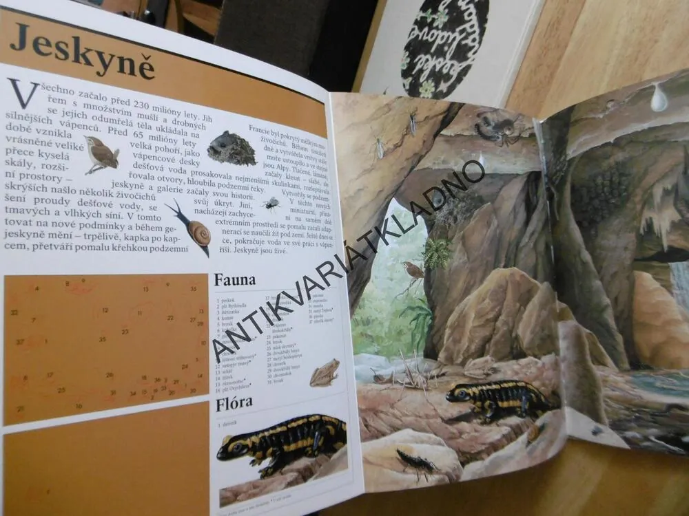 ZÁZRAČNÝ SVĚT PŘÍRODY, 2., GARRIQUE, JESKYNĚ, JEZERA, RYBNÍKY, ŘEKY, VELETOKY, POHOŘÍ