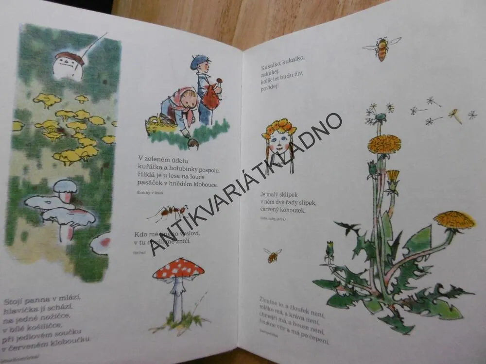 ČESKÉ LIDOVÉ HÁDANKY, JAN DRDA, ADOLF ZÁBRANSKÝ, 1984, **an