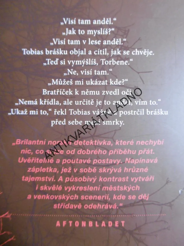 V LESE VISÍ ANDĚL, SAMUEL BJORK, **an