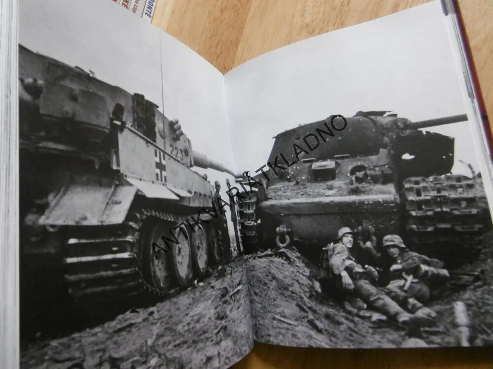 TIGER, TANK,  THOMAS ANDERSON