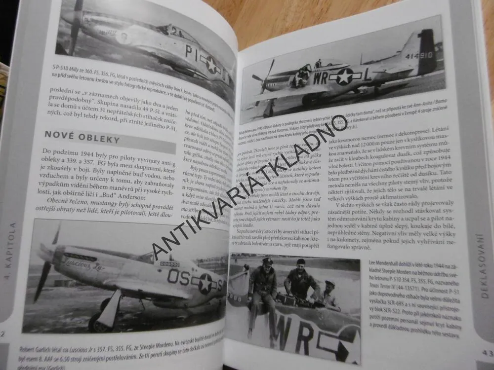MUSTANGY A STÍHACÍ ESA 8. LETECKÉ ARMÁDY, JERRY SCUTTS