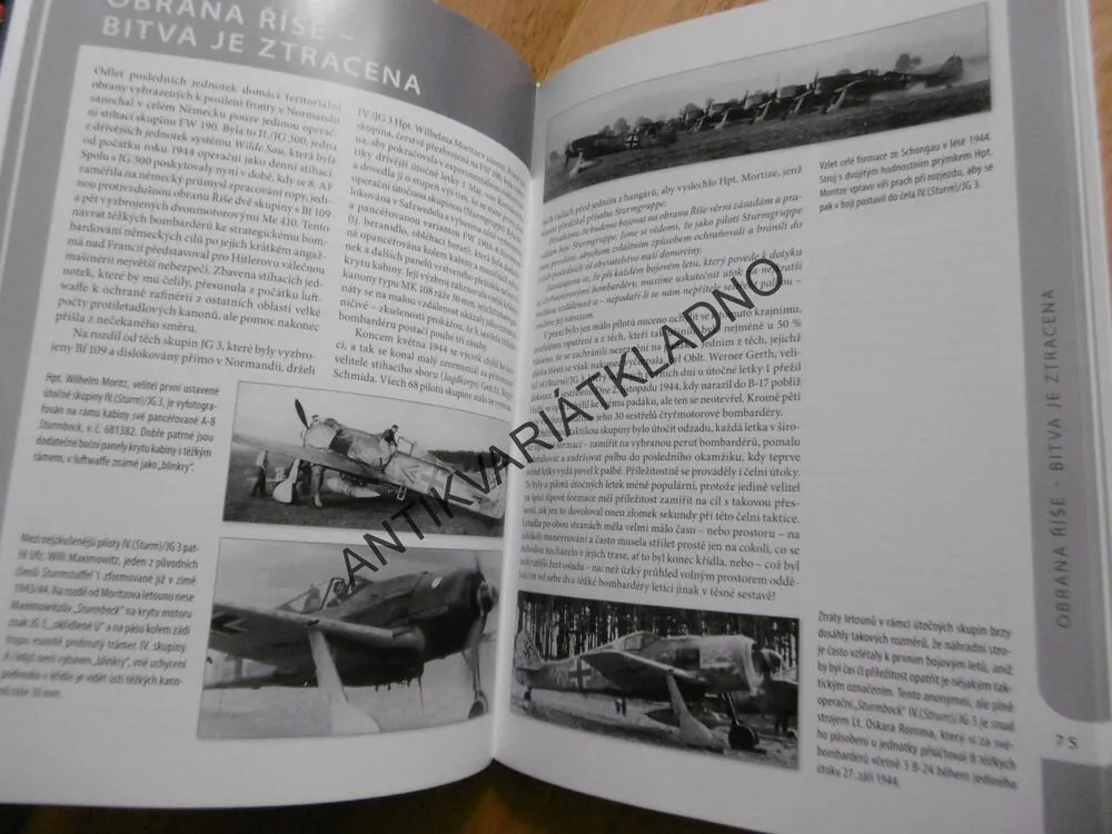 ESA NA FOCKE-WULFECH 190 NA ZÁPADNÍ A VÝCHODNÍ FRONTĚ, JOHN WEAL, **an