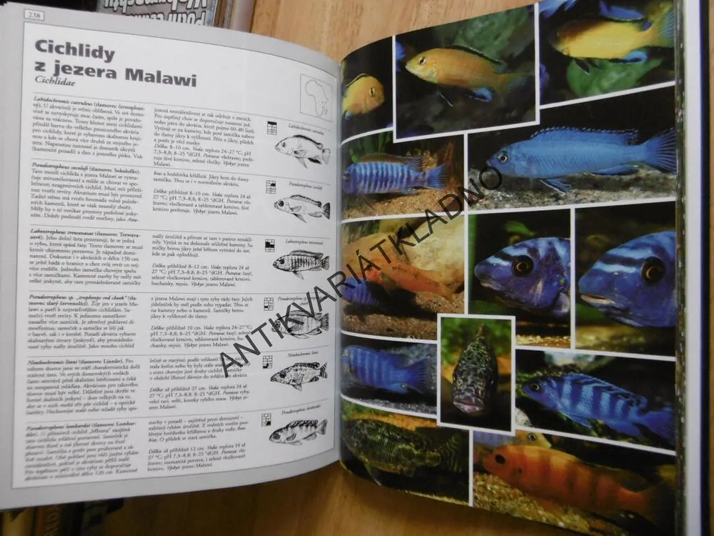 AKVARIJNÍ RYBY, ATLAS, WALLY KAHL, PŘES 750 DRUHŮ, **an