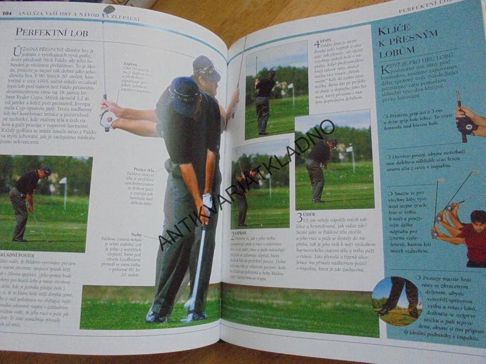 GOLF PRO KAŽDÉHO, NEWELL, SPORT, HRA