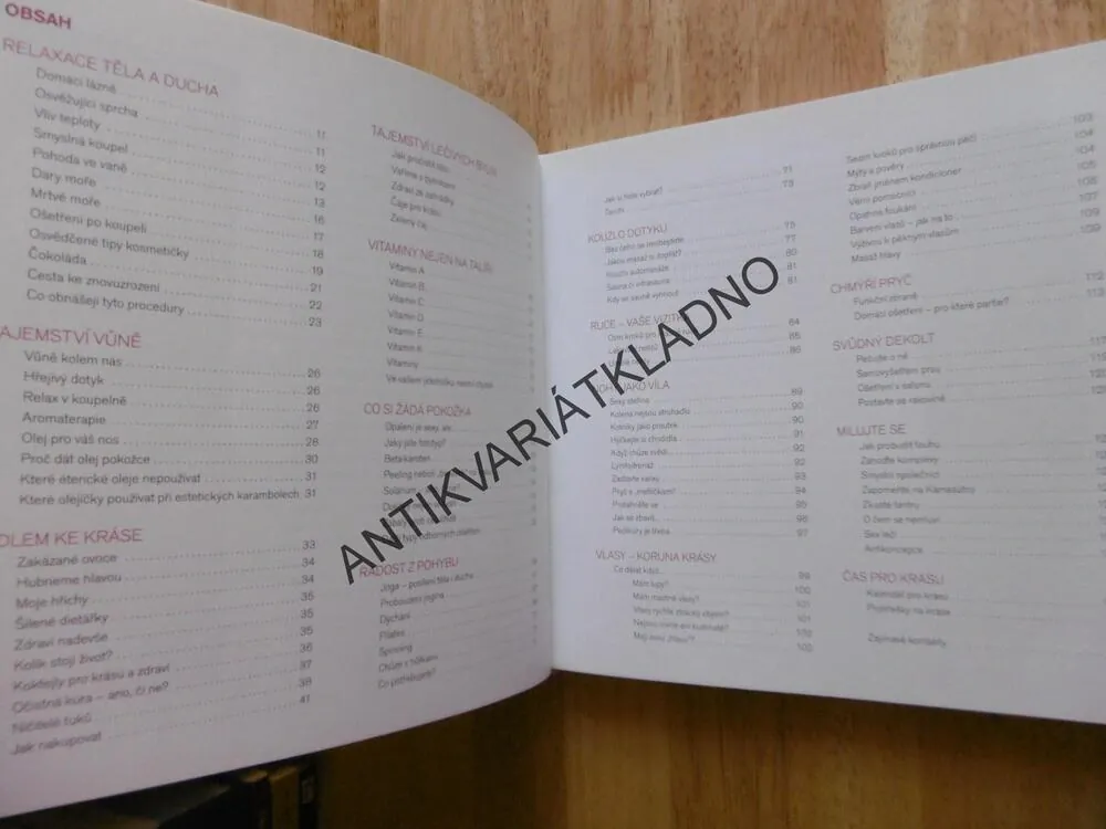 KRÁSA PODLE VLASTY LIBOTOVSKÉ, ŠŤASTNÁ VE SVÉ KŮŽI, LIBOTOVSKÁ, LITEROVÁ