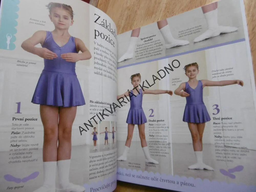 JAK NA BALET, PRŮVODCE TAJEMSTVÍM BALETU KROK ZA KROKEM