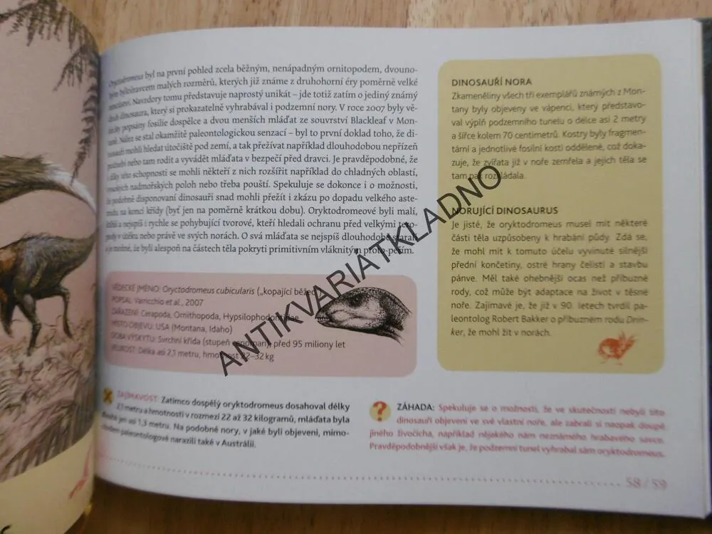 NEZNÁMÍ DINOSAUŘI, VLADIMÍR SOCHA, LUBOMÍR KUPČÍK, **an