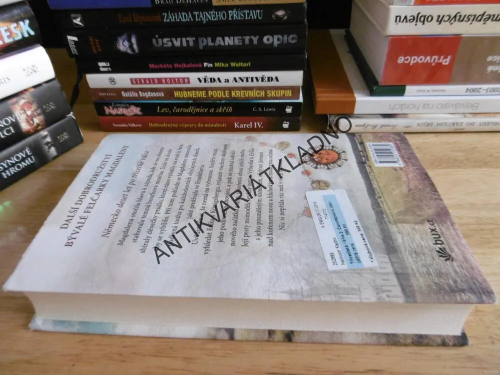 ČARODĚJNICKÉ ZLATO, HEIDI REHNOVÁ, **an