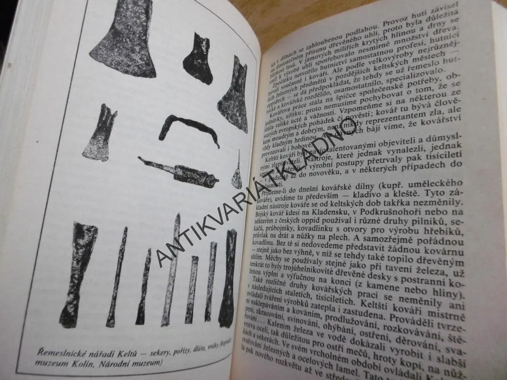 ZLATÝ VĚK ZEMĚ BÓJŮ, ANNA BAUEROVÁ, **an