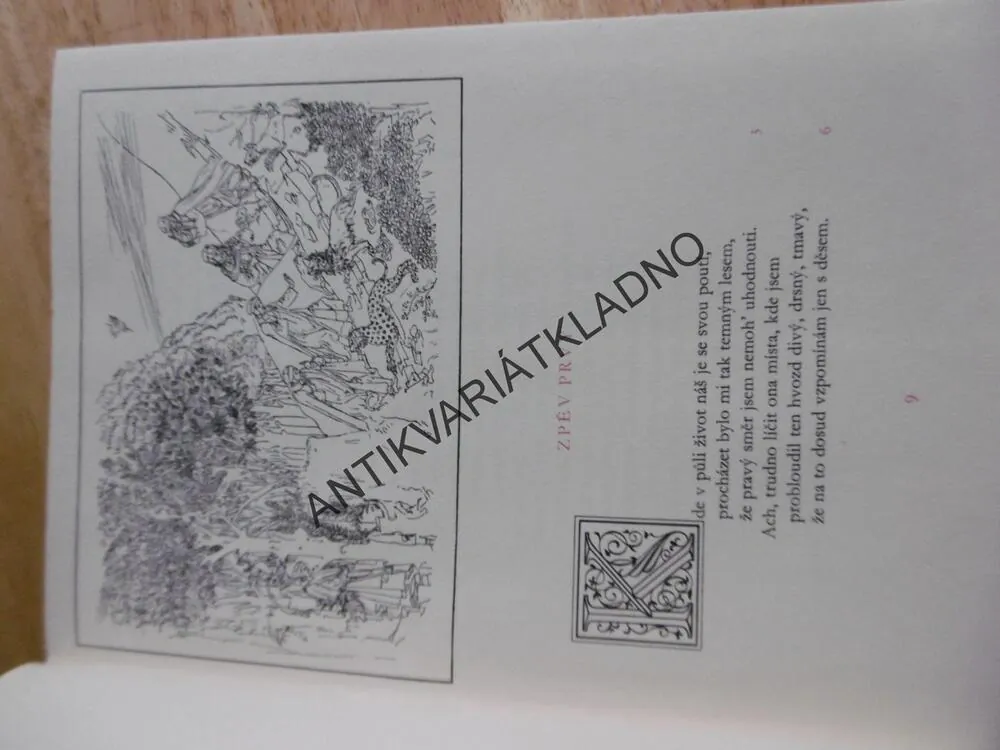 BOŽSKÁ KOMEDIE, DANTE ALIGHIERI, SANDRO BOTTICELLI