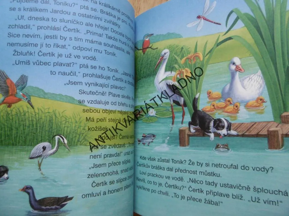 ČTENÍ O ZVÍŘÁTKÁCH S VELKÝMI PÍSMENY, **an