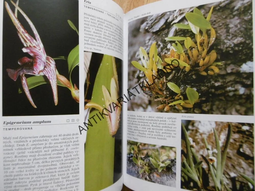 ENCYKLOPEDIE ORCHIDEJE, ZDENĚK JEŽEK