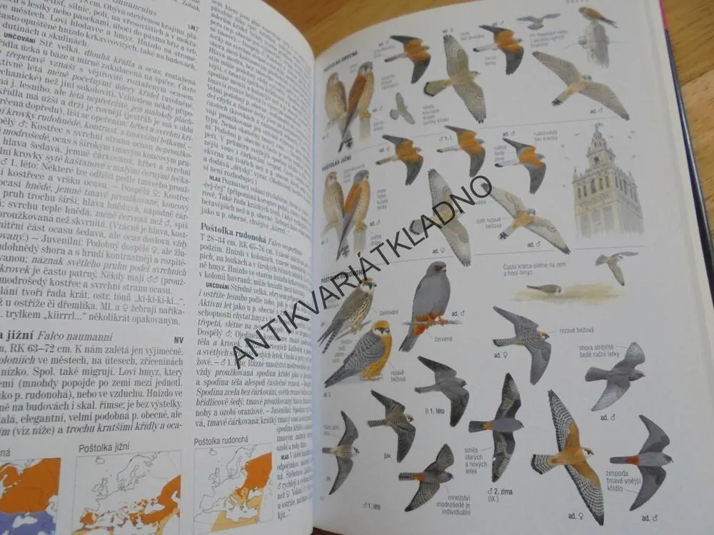 PTÁCI EVROPY,S.AFRIKY,BLÍZKÝ VÝCHOD, PŘÍRUČKA, ATLAS