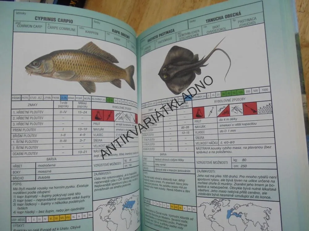 SVĚT RYB, PRŮVODCE MOŘSKÉ SLADKOVODNÍ, RYBÁŘSTVÍ, **an