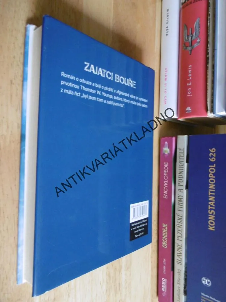 ZAJATCI BOUŘE, THOMAS W. YOUNG,**an