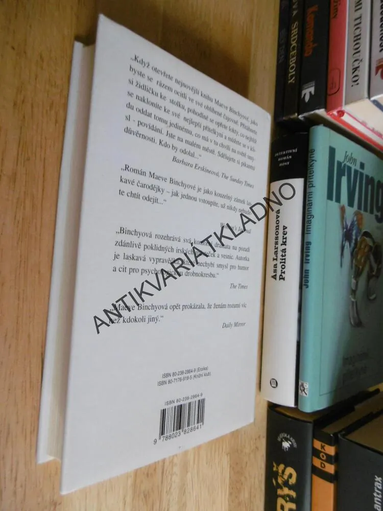 KAŽDÝ ŽÁK MÁ DUŠI, MAEVE BINCHYOVÁ, **an