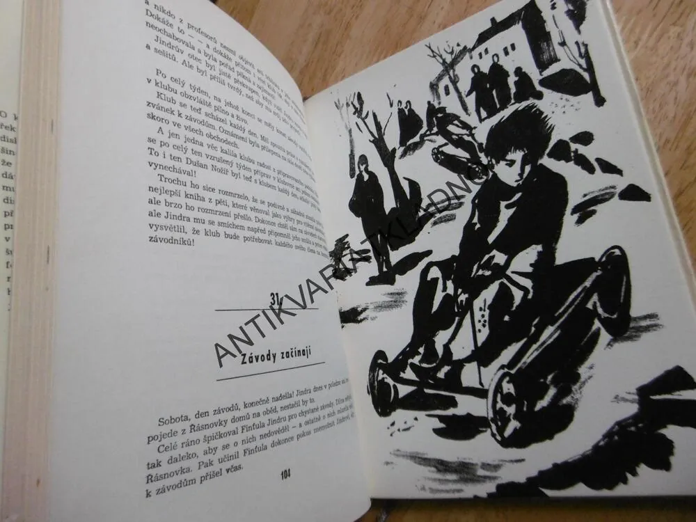 TAJEMNÁ ŘÁSNOVKA, JAROSLAV FOGLAR, 1965, **an
