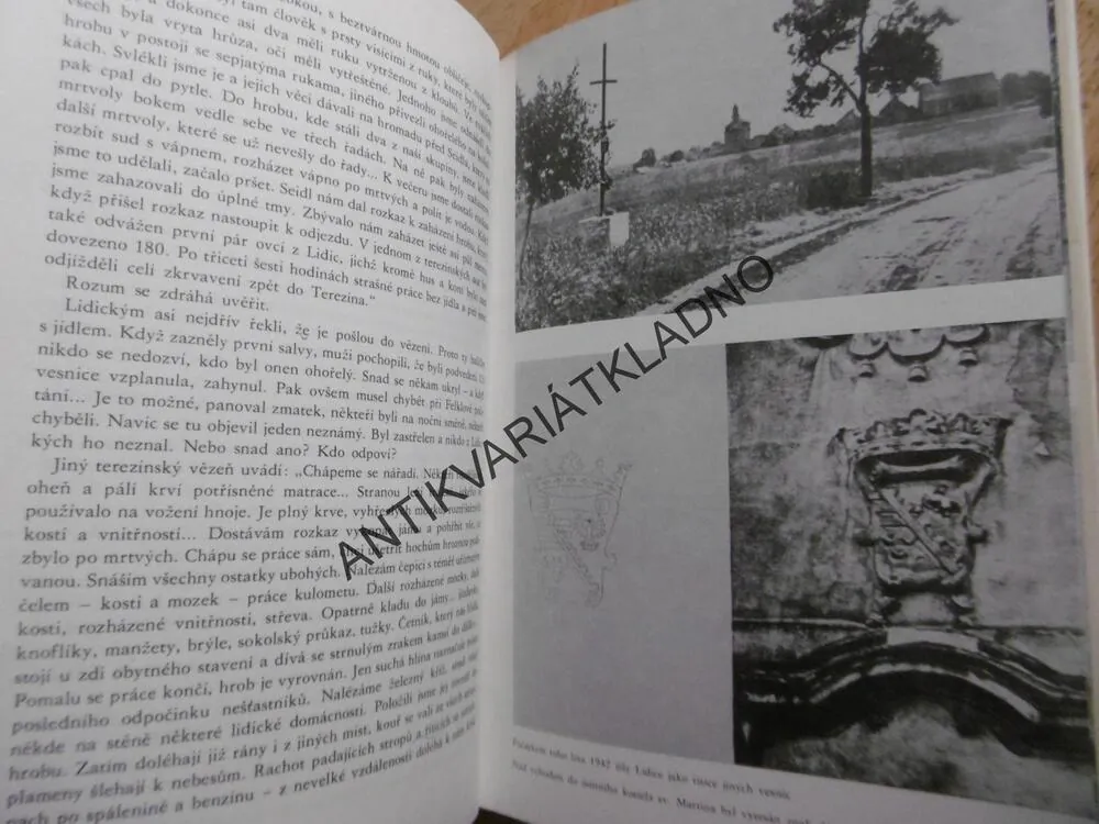 A HOŘEL SNAD I KÁMEN, MIROSLAV IVANOV, **an