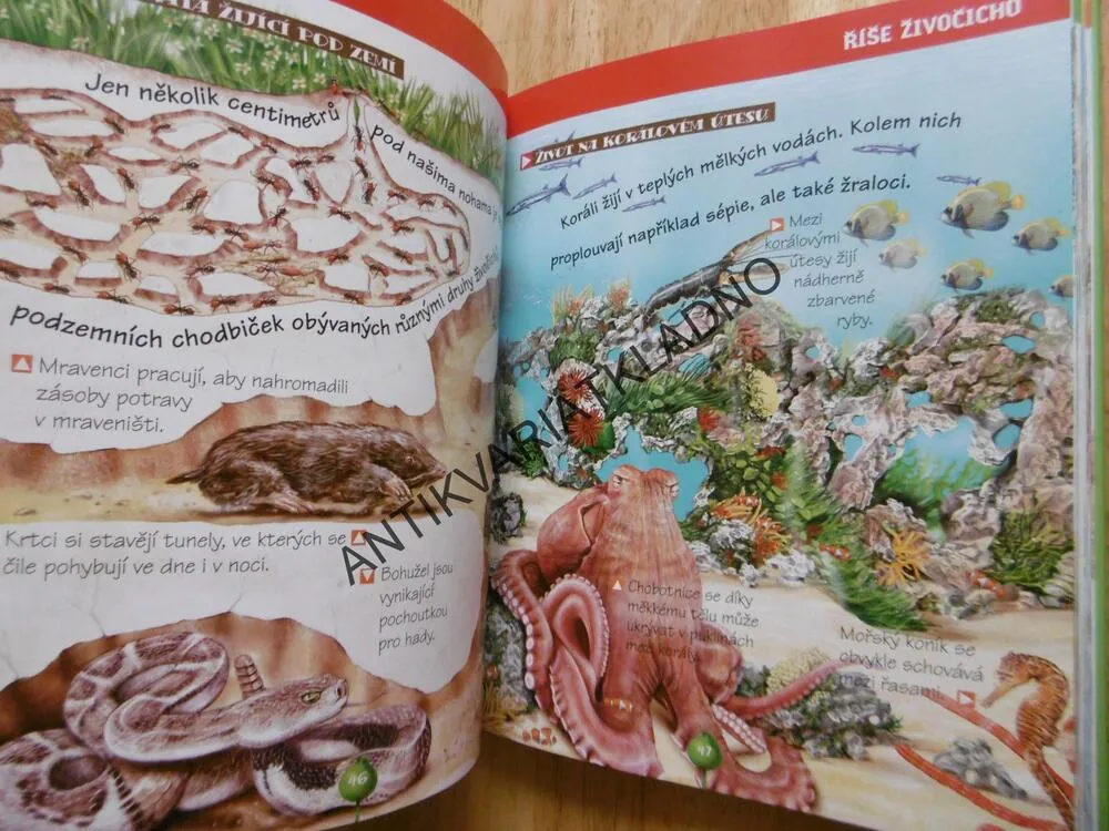 PŘÍRODA KOLEM NÁS, DĚTSKÁ ILUSTROVANÁ ENCYKLOPEDIE, **an