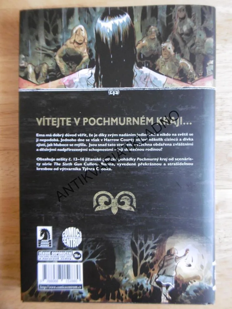 POCHMURNÝ KRAJ,4., RODOKMEN, CULLEN BUNN, TYLER CROOK, KOMIKS, **an