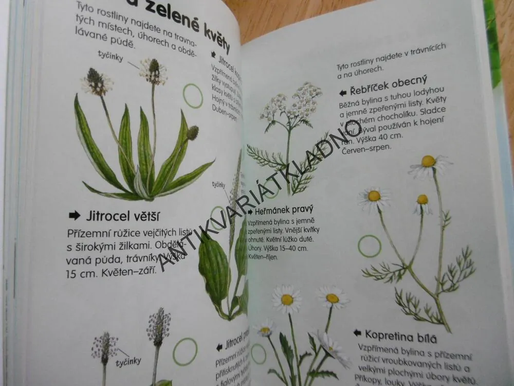 PRŮVODCE PŘÍRODOU DO KAPSY, KVĚTINY, STROMY, PTÁCI, HMYZ, **an