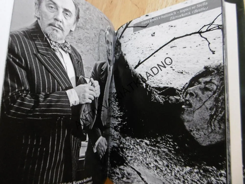MAJOR ZEMAN, PROPAGANDA NEBO KRIMI? DANIEL RŮŽIČKA, **an